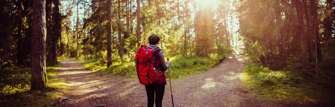 Saar-Hunsrück-Steig ist einer der beliebtesten Wanderwege